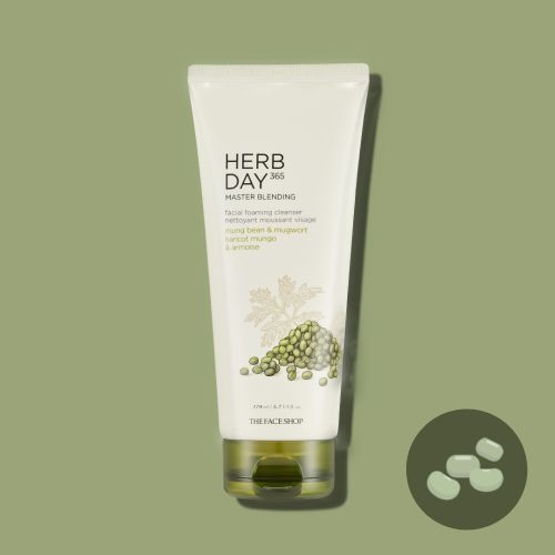 The Face Shop Herb Day 365 Master Blending Facial Foaming Cleanser 170ml